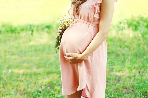 Pretty pregnant woman with chamomiles flowers over summer background