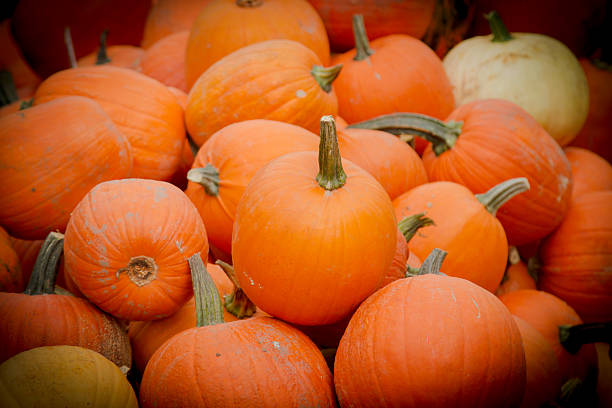 istock ripe pumpkin on the market 493835408