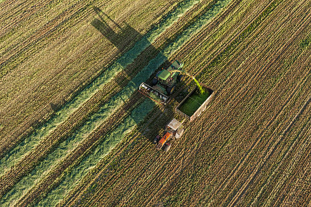 istock aerial view of harvest fields with combine and tractor 493836496