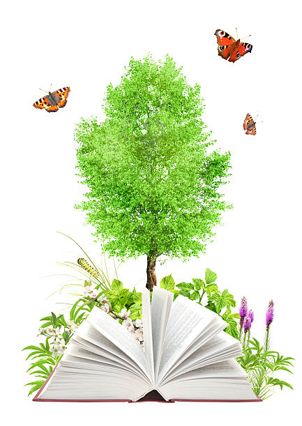 istock Book of nature 493837003