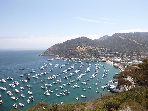 istock Boats at the Harbor 493839620