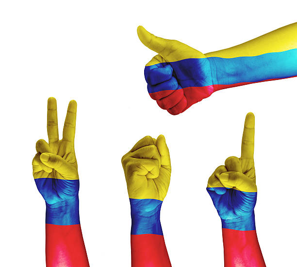 istock Columbia flag painted on hand 493849785