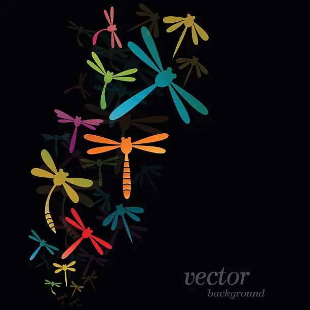 Vector illustration of Dragonfly design on black background