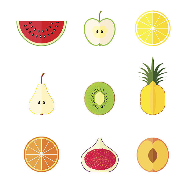 ilustrações de stock, clip art, desenhos animados e ícones de plana ícones de frutos.  ilustração vetorial - freshness food serving size kiwi