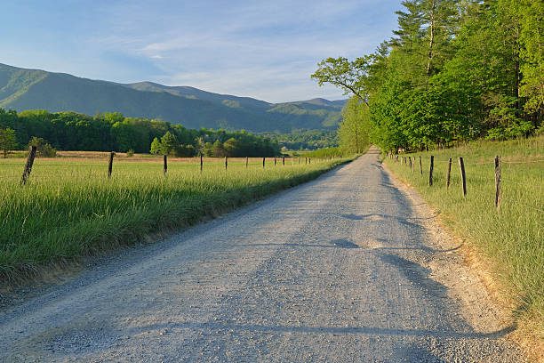 istock Spring, Hyatt Lane, Cades Cove 493851323