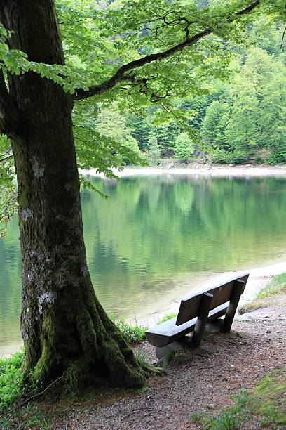 istock Lake of Ravens in the Vosges 493852157
