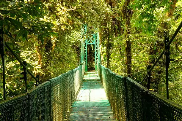 Location: Monteverde - Selvatura