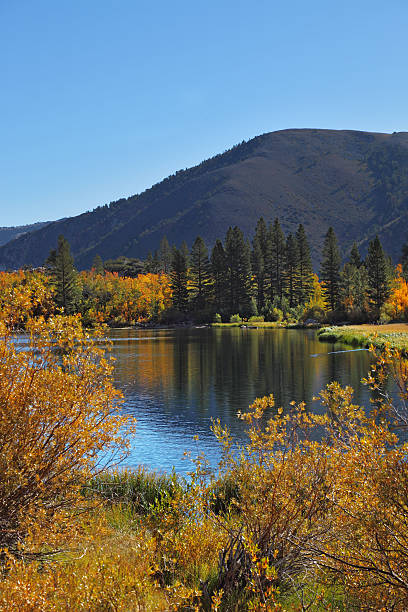 istock The autumn on Northern lake 493855271