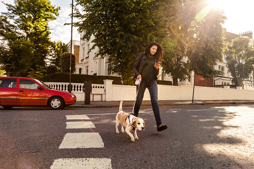 Happy woman walking with dog in early Sunday morning in London, Notting Hill.