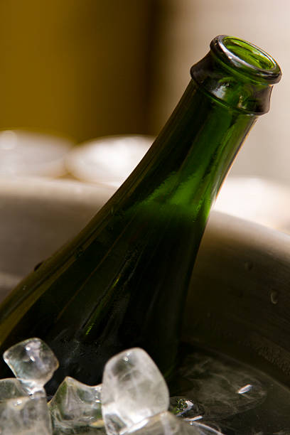 istock Bottle of Champagne on Ice 493856159