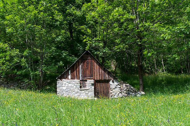 istock Little cottage in the Alps 493856426