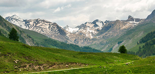 istock Mountain landscape in Piedmont 493856502