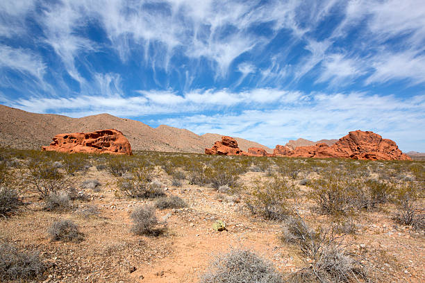 istock Valley of Fire, Nevada State Park 493858670
