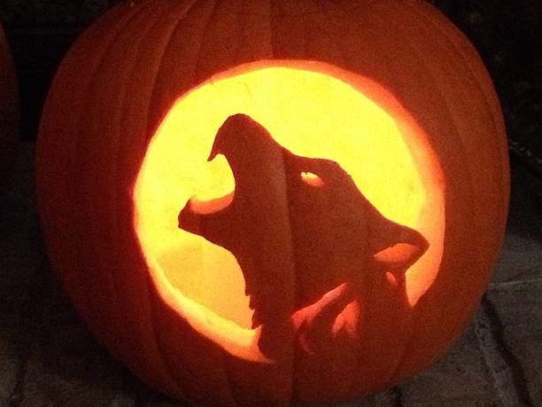 Happy 'Howl' O'Ween Carved Pumpkin, Halloween fun carving a howling wolf.  weben stock pictures, royalty-free photos & images