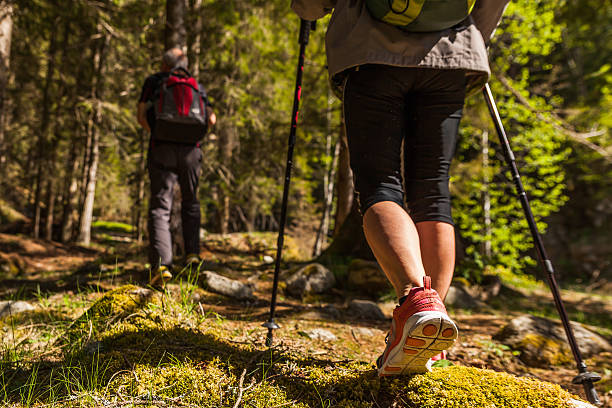 активного отдыха в горах альпы - nordic walking hiking mountain walking стоковые фото и изображения