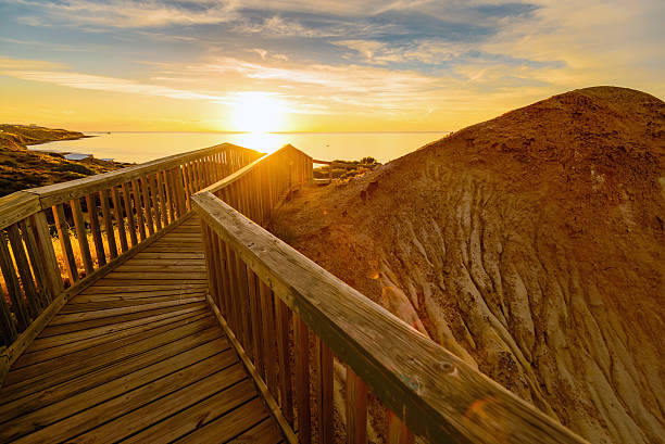 istock Conservation park at sunset. South Australia 493866040