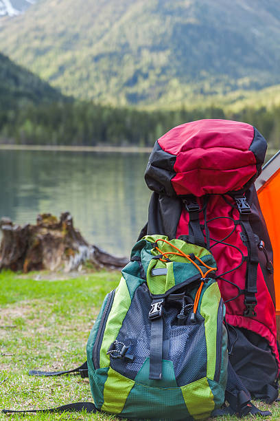 istock active holiday in the mountains alps 493867422