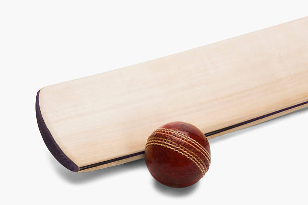 istock Close-up of a cricket ball with a bat 493868244