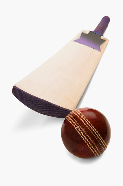 istock Close-up of a cricket ball with a bat 493868888