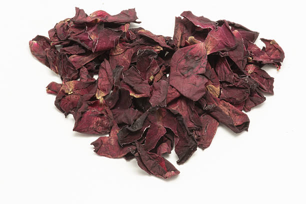 istock Heart Shape withered roses petal isolated on white background 493869942