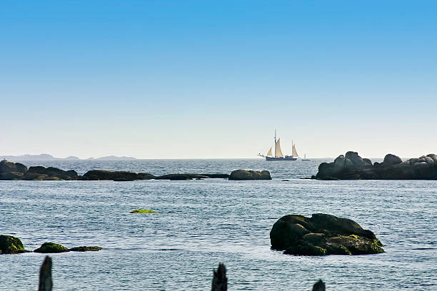 istock Sailboat on the horizon 493871386