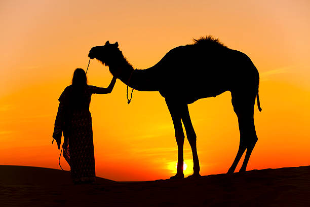 istock Silhouette of a women and camel. 493879652