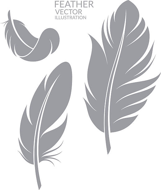 Feather. Set (EPS) + ZIP - alternate file (CDR)  feather illustrations stock illustrations