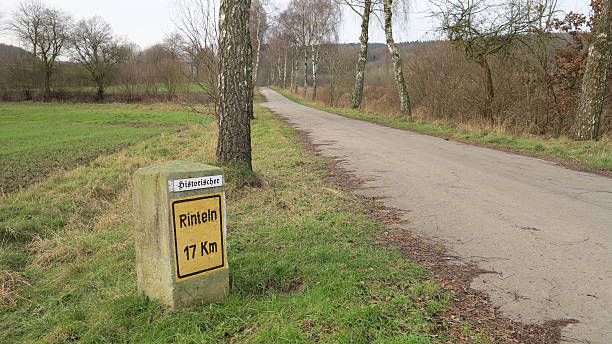 istock Historical milestone in Alverdissen 493880612