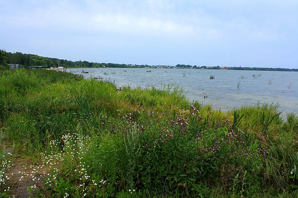 istock The lake Sugoyak in July. 493881164
