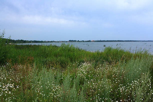istock The lake Sugoyak in July. 493881746