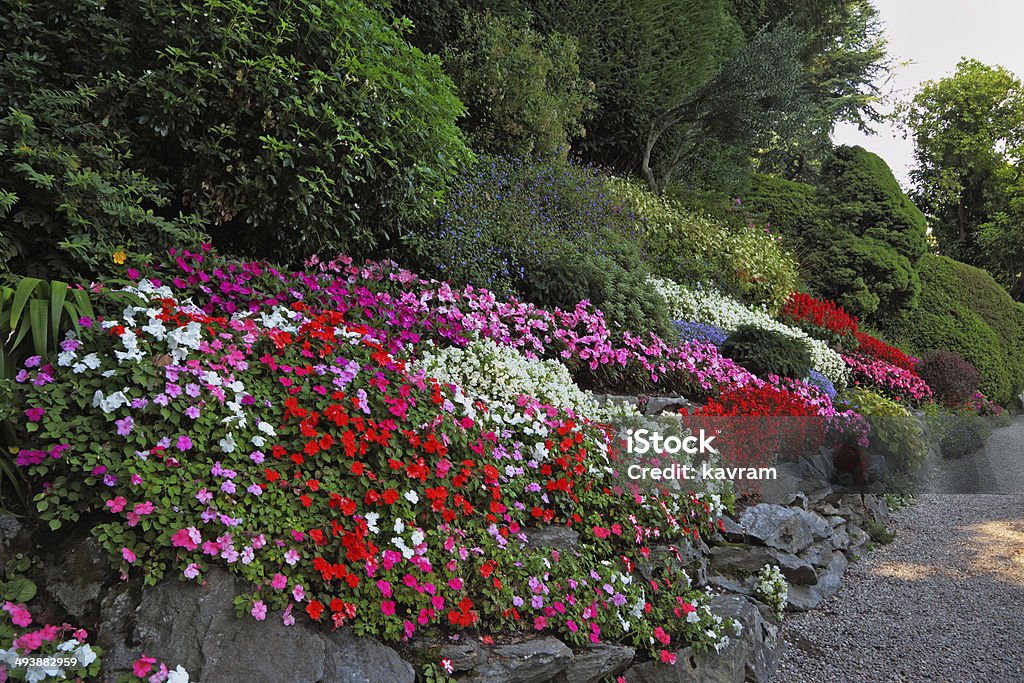 The flowerbeds and path Wonderful vibrant flowerbeds and comfortable path in  exotic park. Lake Como, Villa Carlotta Asphalt Stock Photo