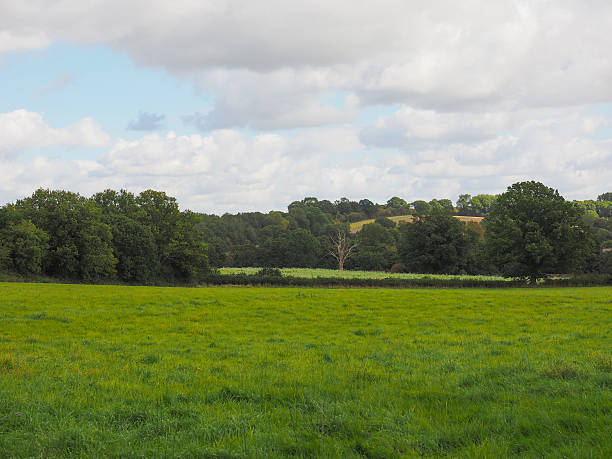 istock View of Tanworth in Arden 493883296