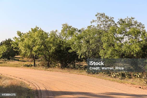 ランチ Road とメスキートの木 - サボテンのストックフォトや画像を多数ご用意 - サボテン, テキサス州, メスキートの木