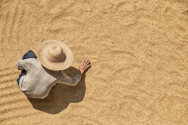 Farmer working on harvested grains from above Farmer working on harvested grains from above labor intensive production line stock pictures, royalty-free photos & images