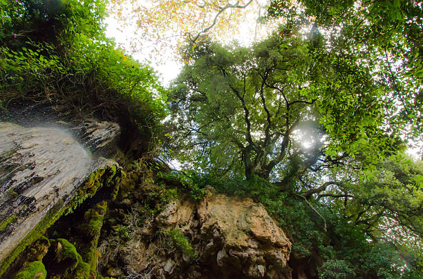 Waterfall and trees view from bottom view to top. Aymerich Park in Laconi, Sardinia. Nature topic