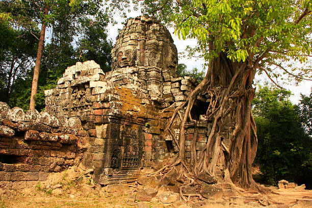 istock Ta Som temple, Angkor area, Siem Reap, Cambodia 493885805