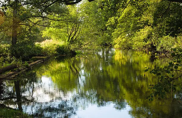 Photo of Tranquil River