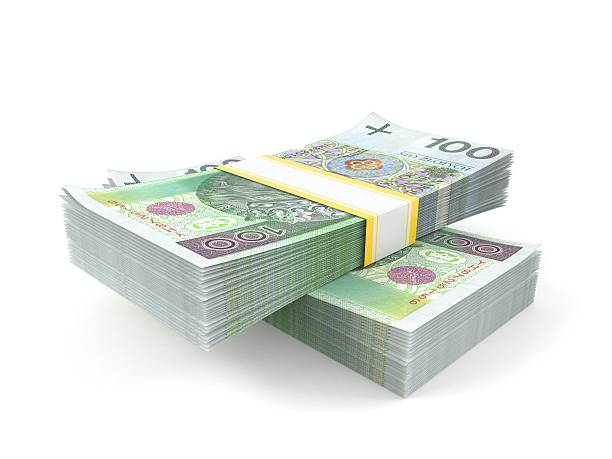 istock Polish zloty 493886955