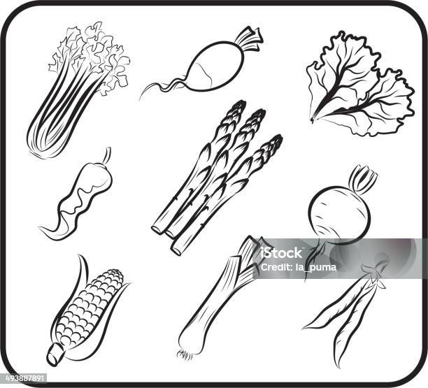 Vegetables Vector Hand Drawn Stock Illustration - Download Image Now - Abstract, Agriculture, Art And Craft