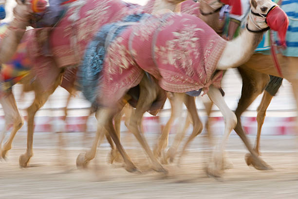 istock Scenes of Dubai 493887939