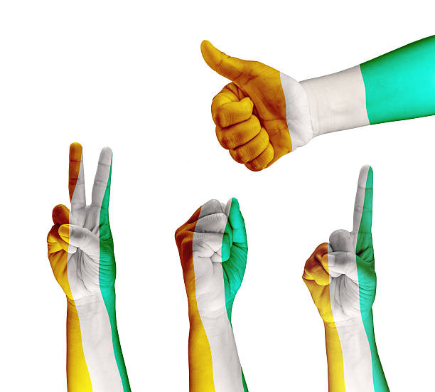 istock Ivory Coast flag painted on hand 493889397