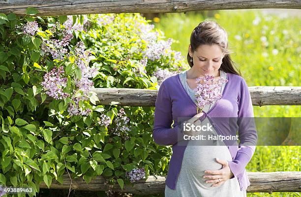 Pregnant Woman Stock Photo - Download Image Now - Abdomen, Adult, Baby - Human Age