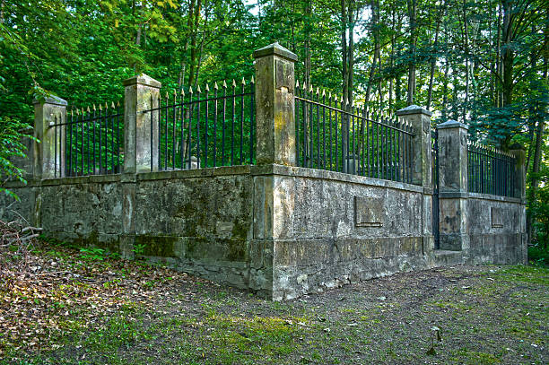 istock Ancient cemetry of the von Schele family from 1803 493889491