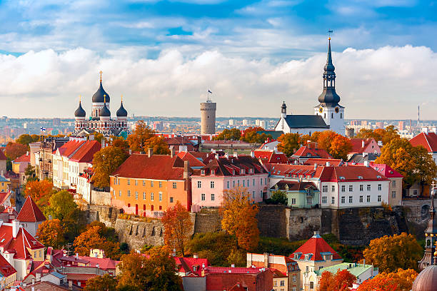 istock Aerial view old town, Tallinn, Estonia 493890906