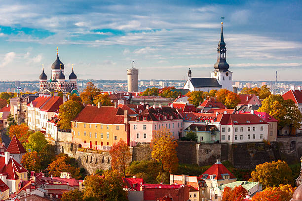 istock Aerial view old town, Tallinn, Estonia 493890982
