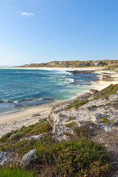 istock Margaret River Coastline, Western Australia 493903402