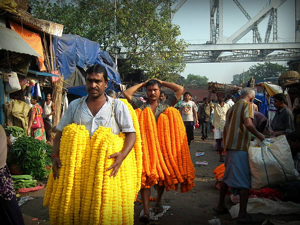 Flower sellers near Howrah Bridge Kolkata, India - October 24, 2015: Unidentified Marigold flower sellers carrying and taking them to their Shops at 'Barabajar Flower Market' at early morning nearby the Howrah Bridge, Kolkata. flower market morning flower selling stock pictures, royalty-free photos & images
