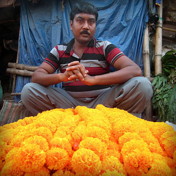Indian Flower seller sitting in front of his Flowers Kolkata, India - October 24, 2015: Unidentified Marigold (Genda) flower seller sitting with his flowers at 'Barabajar Flower Market' at early morning nearby the Howrah Bridge, Kolkata. flower market morning flower selling stock pictures, royalty-free photos & images