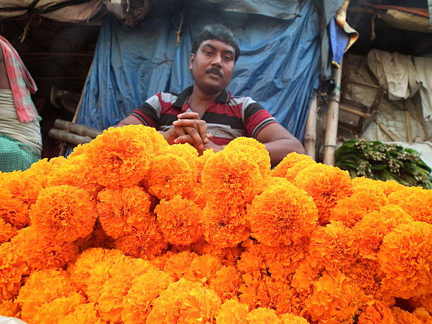 Flower seller Kolkata, India - October 24, 2015: Unidentified Marigold (Genda) flower seller sitting with his flowers at 'Barabajar Flower Market' at early morning nearby the Howrah Bridge, Kolkata. flower market morning flower selling stock pictures, royalty-free photos & images