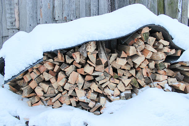 istock Fire wood combined in heaps under a snow 493904076